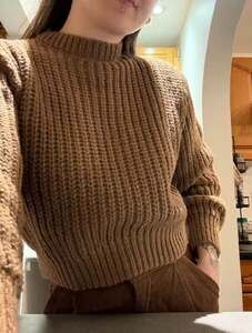 Banana Republic Tiernan Relaxed Chunky Cotton Cropped Sweater